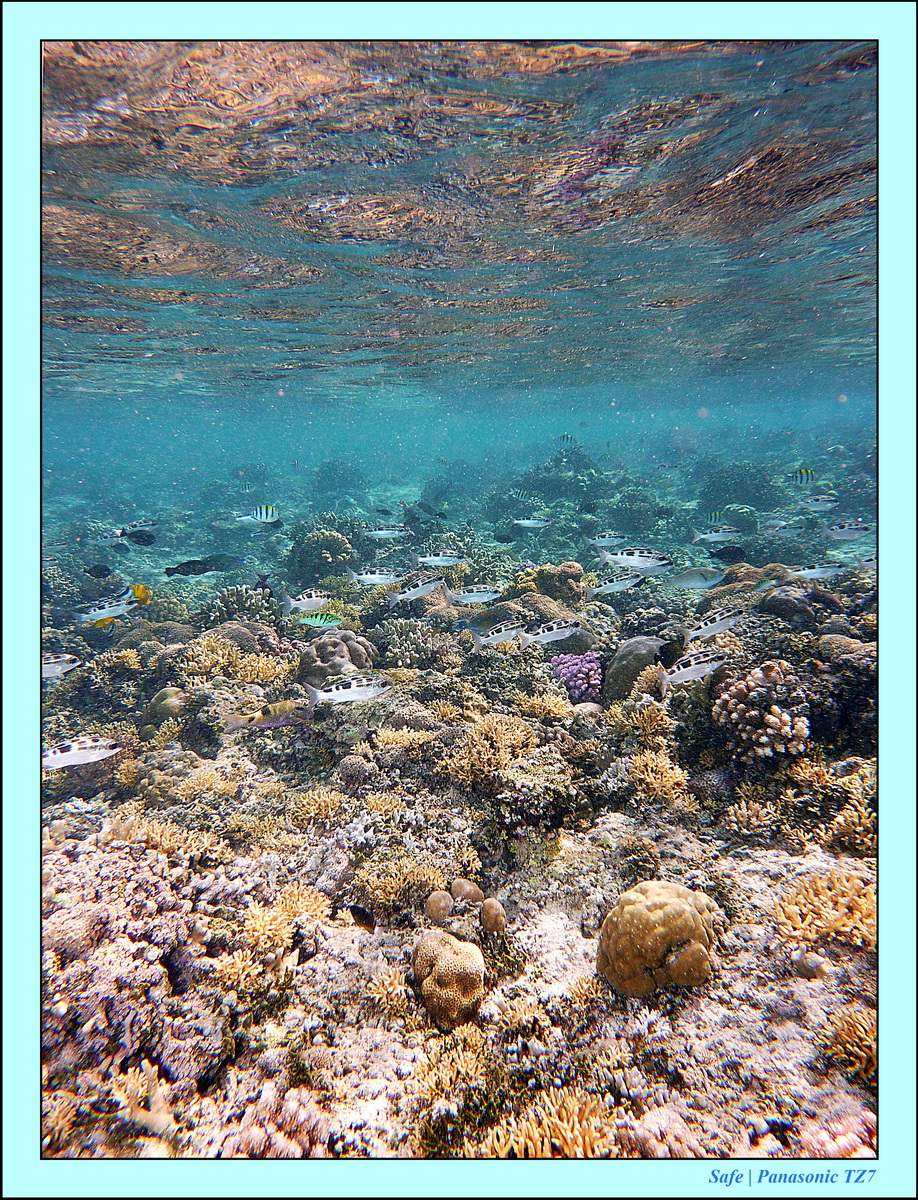 2012 - 07 - Gili - 82